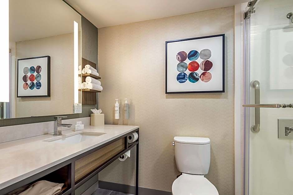 Hilton Garden Inn Chicago Oak Brook