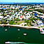Noosa River Palms