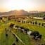 Devonvale Golf & Wine Estate