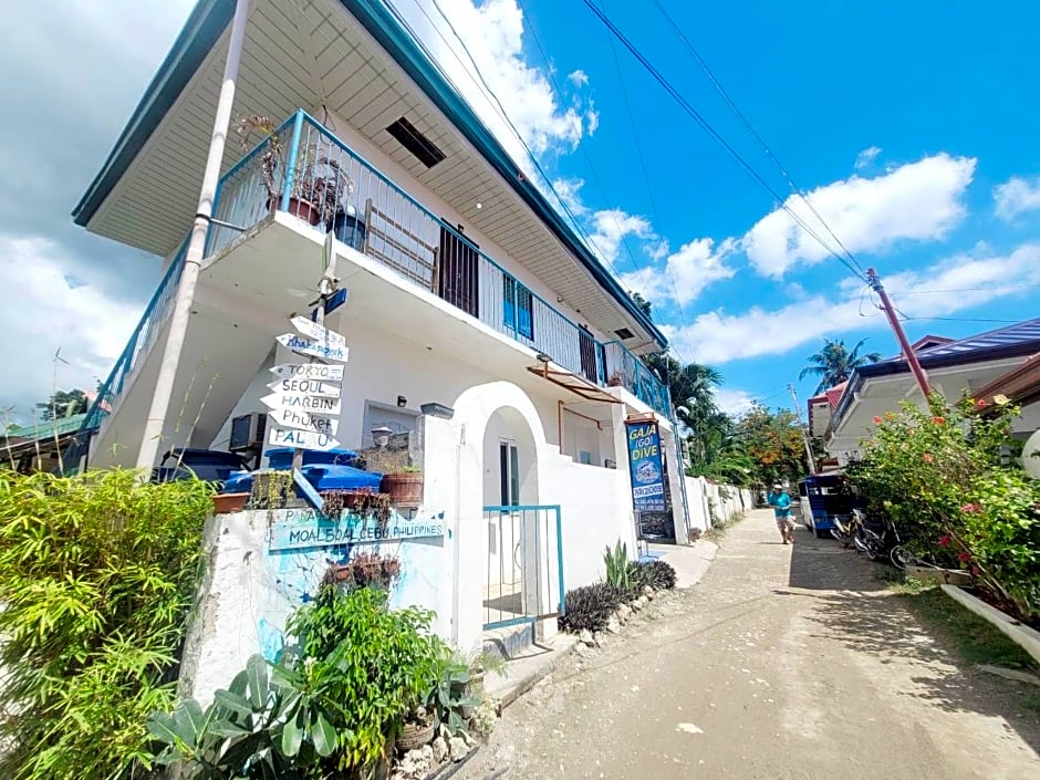 Gaja Go Dive & Inn