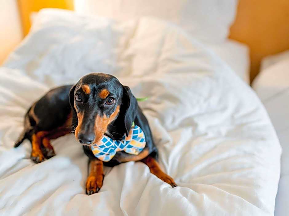 ibis budget London Barking