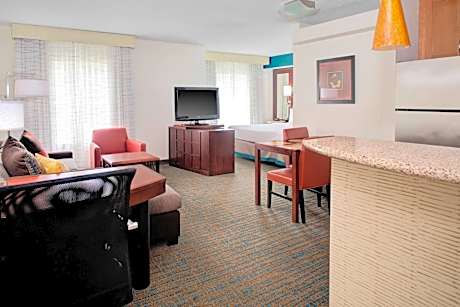 Studio, 1 King Bed with Sofa bed (1 King Bed and 1 Double Sofa Bed)