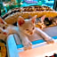 Misato Kinenkan, A Guest House Full Of Cats
