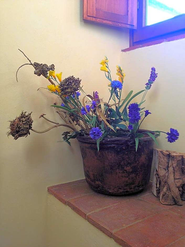 Torraccia di Chiusi Agriturismo Relais