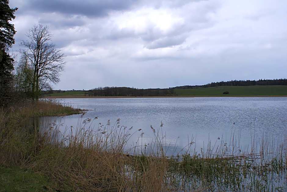 Apartamenty Rodzinne