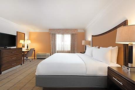 Standard King Room
