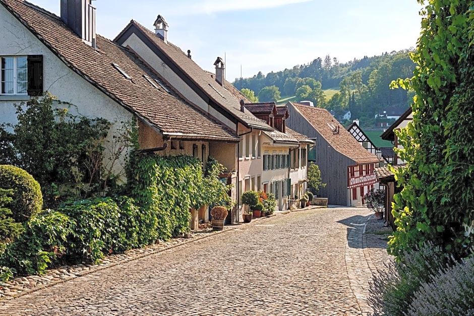 Hotel Krone Regensberg