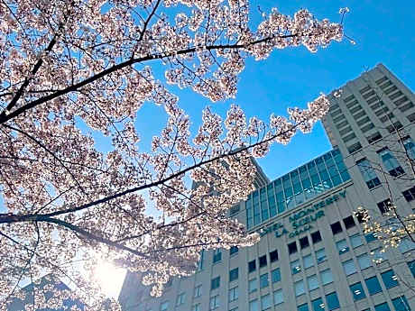 Hotel Monterey La Soeur Osaka
