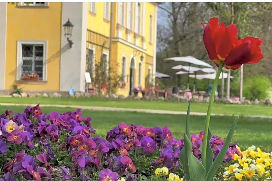 Pałac Łomnica Karkonosze - Schloss Lomnitz Riesengebirge