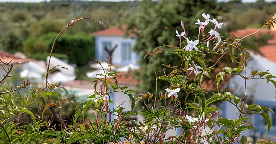 Monte do Giestal - Casas de Campo & SPA