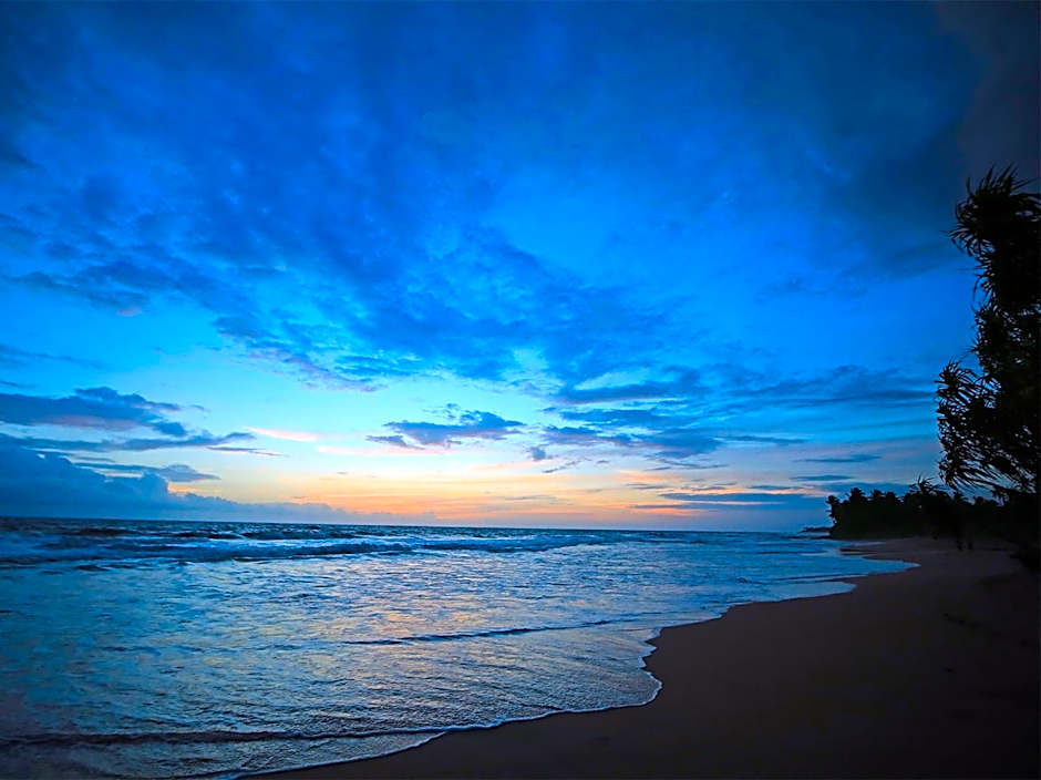 Saffron & Blue