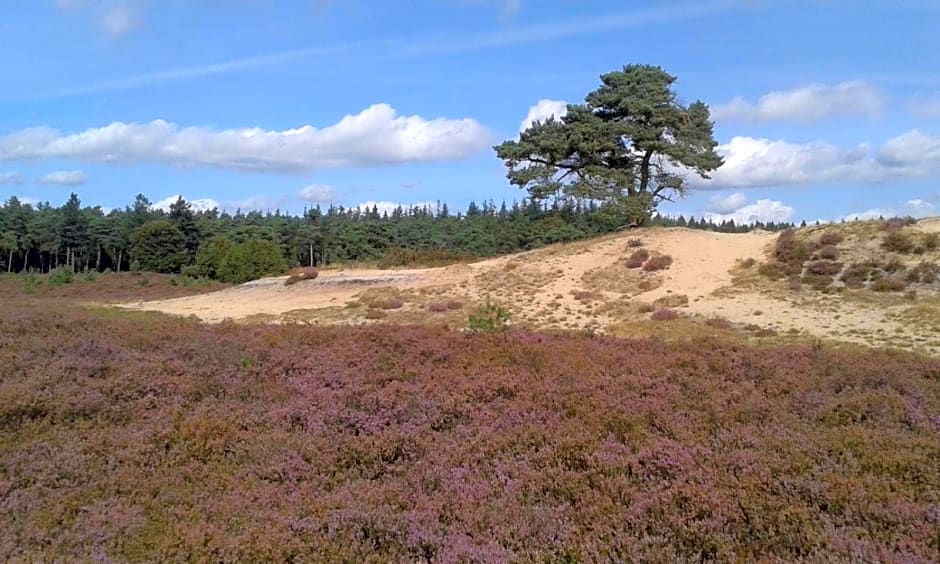 Luxe Natuurhuisje met jacuzzi en haard in Drenthe, ECHTEN