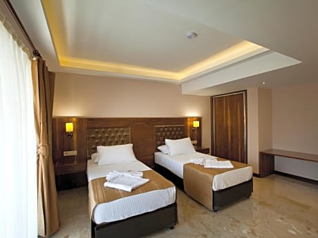 Deluxe Double or Twin Room with Terrace