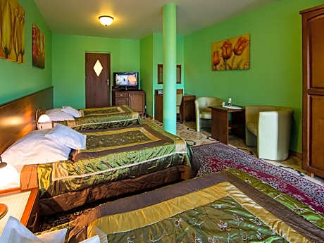 Triple Room with Private Bathroom