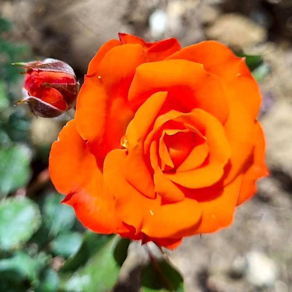 Infinity Wellness Boutique Hotel