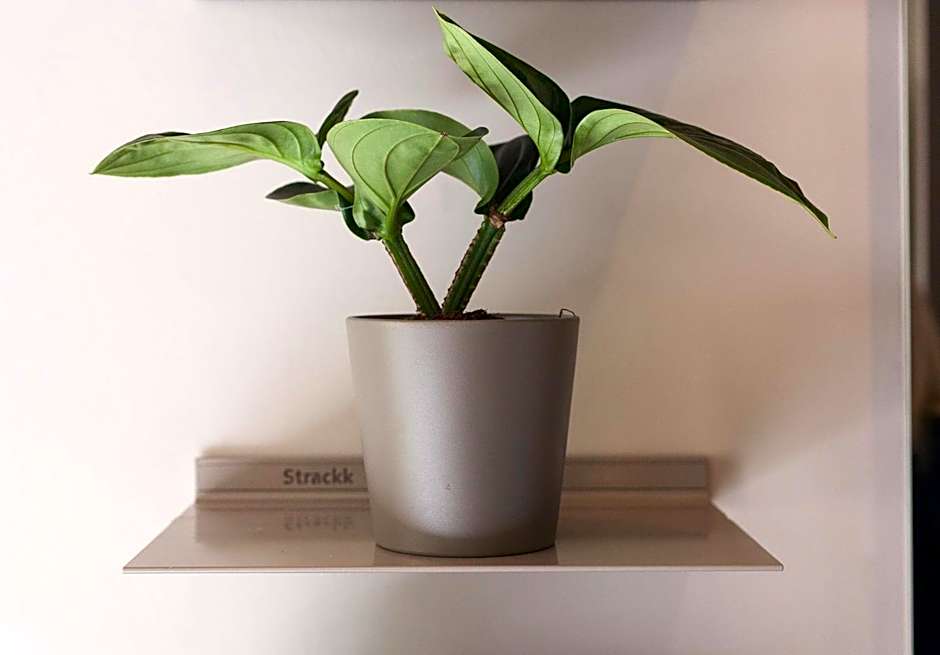 DestinationBCN - Universitat Rooms