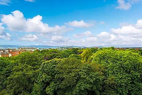 Large One-Bedroom King Suite