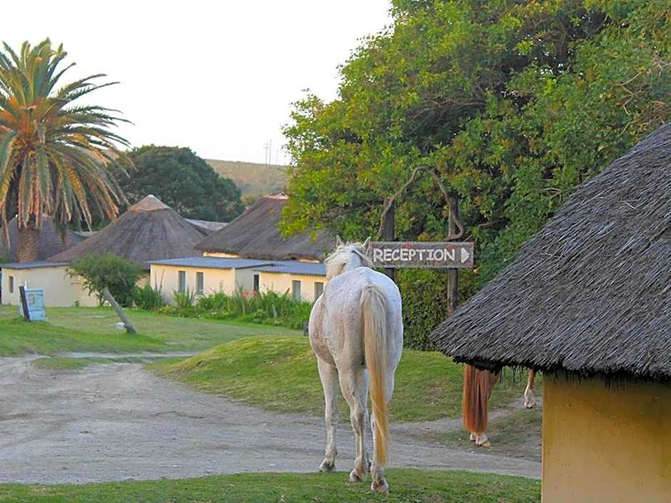 THE HAVEN HOTEL