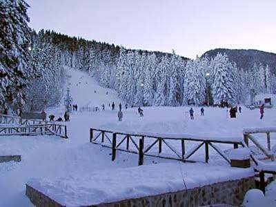 Studios-Villa Park SV