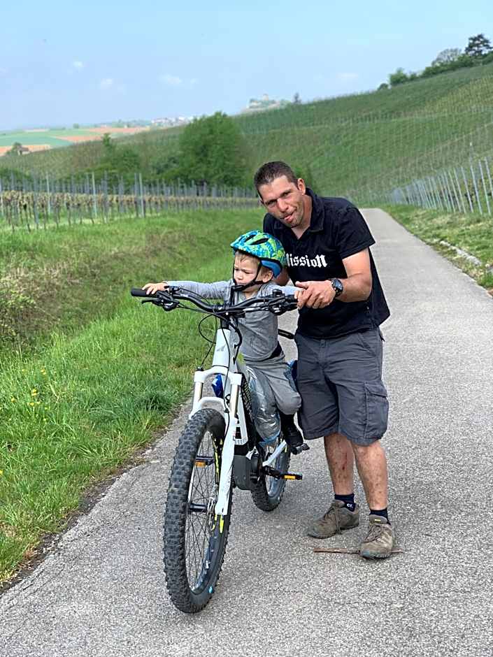 Sali Homes - GaesteHaus Lamm Obersulm