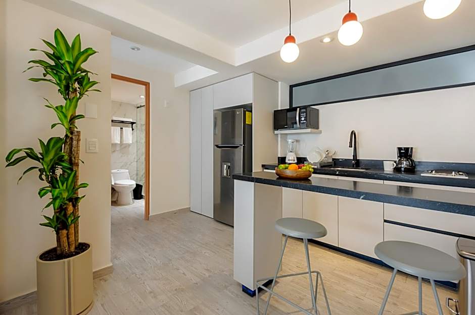 Choapan 28 - Lux Apartments in Condesa
