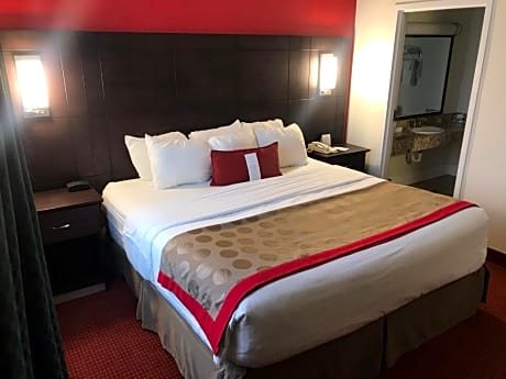 Deluxe One-Bedroom King Suite - Non-Smoking