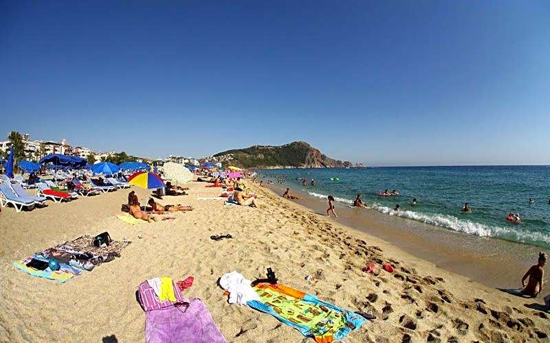 Ark Apart and Suite Hotel