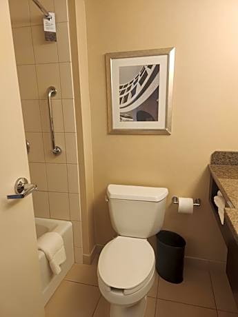 Guest room, 1 King (Mobility Accessible w/Tub)