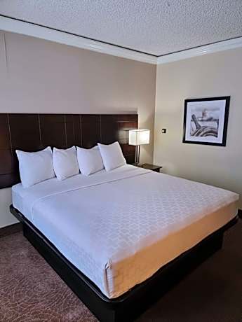 King Room - Non-Smoking