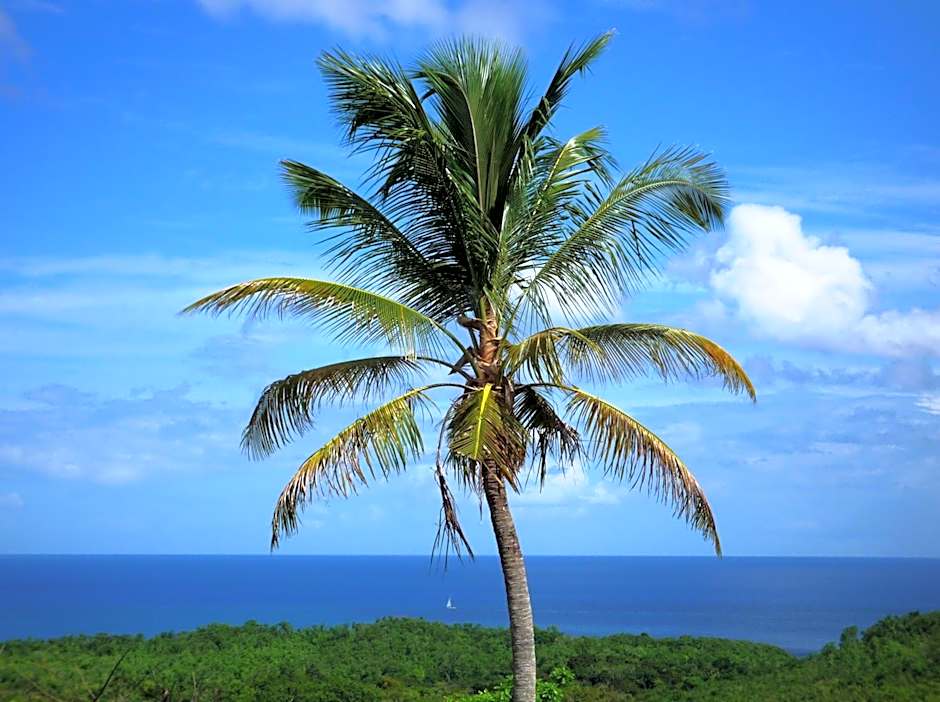 Domaine de l'Anse Ramier