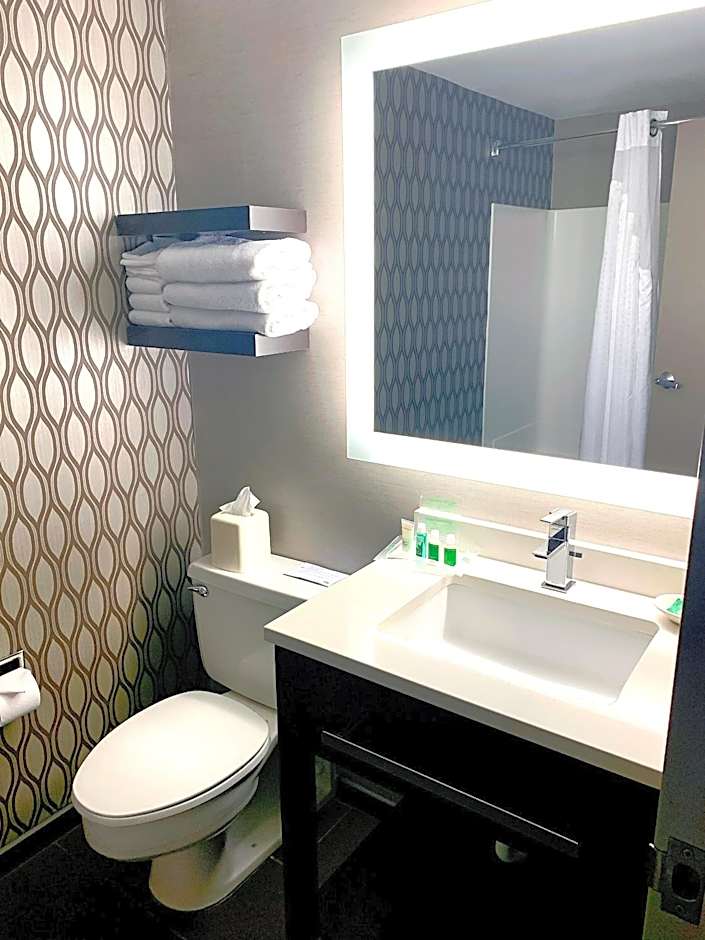Holiday Inn St. Paul Downtown By IHG