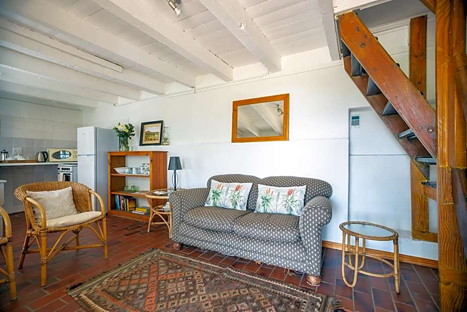 Bosky Dell on Boulders Beach