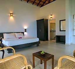 After the Rains - Rainforest Lodge