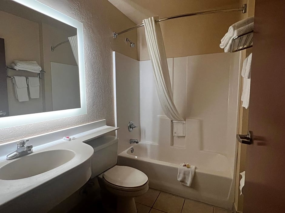 Microtel Inn & Suites By Wyndham Houston