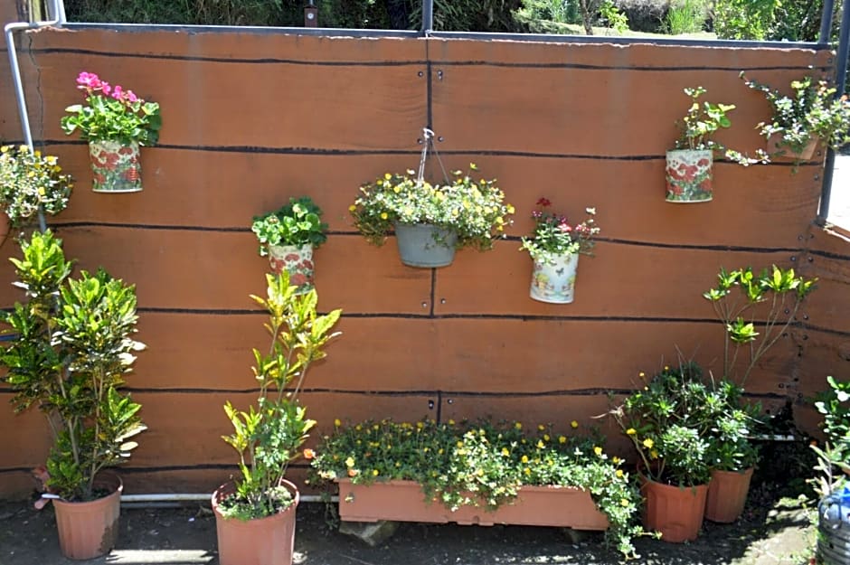 Cabinas El Pueblo - Hostel