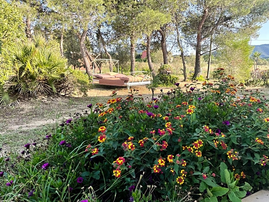 Affittacamere Soleluna