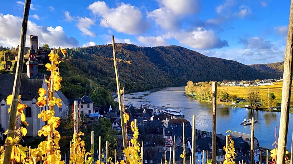 Hotel Haus Burg Metternich