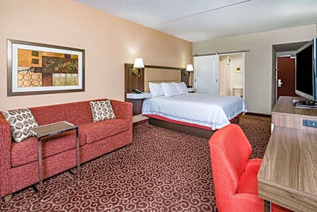 1 King With Sofabed Nonsmoking