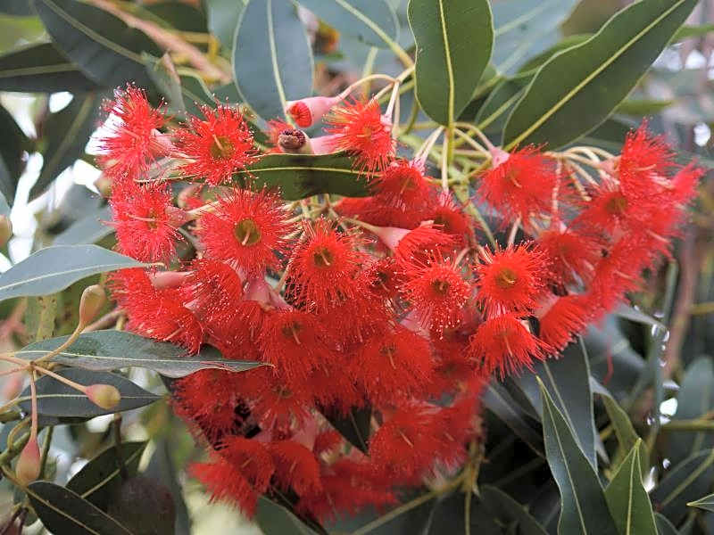 Waterfront Retreat At Wattle Point