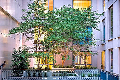 Room, 2 Double Beds (Westin Accessible Double) (2 Double Beds)