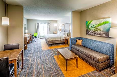 King Suite with Sofa Bed