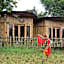 Sawah Ijen
