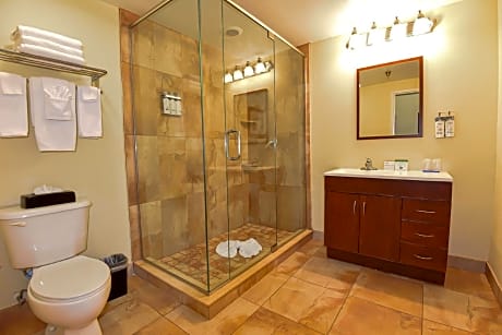 One-Bedroom Suite with Sofa Bed