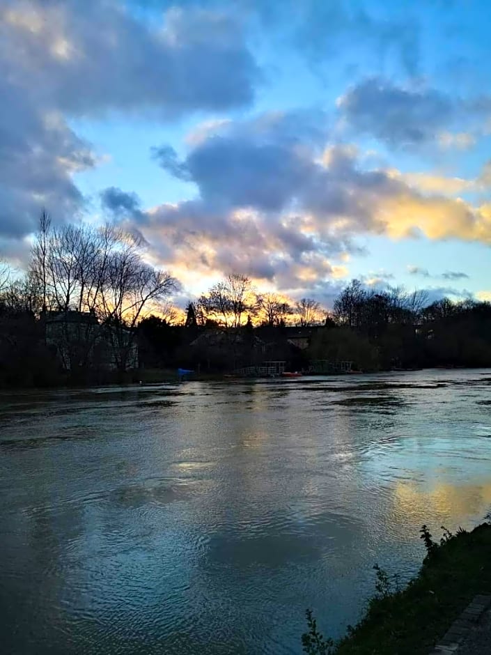 LES PINGOUINS DE LA MARNE