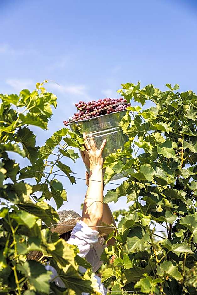 Hotel & Spa Pałac Mała Wieś