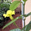 Jardim Secreto