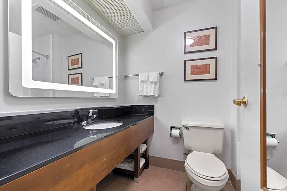 Comfort Suites Milledgeville