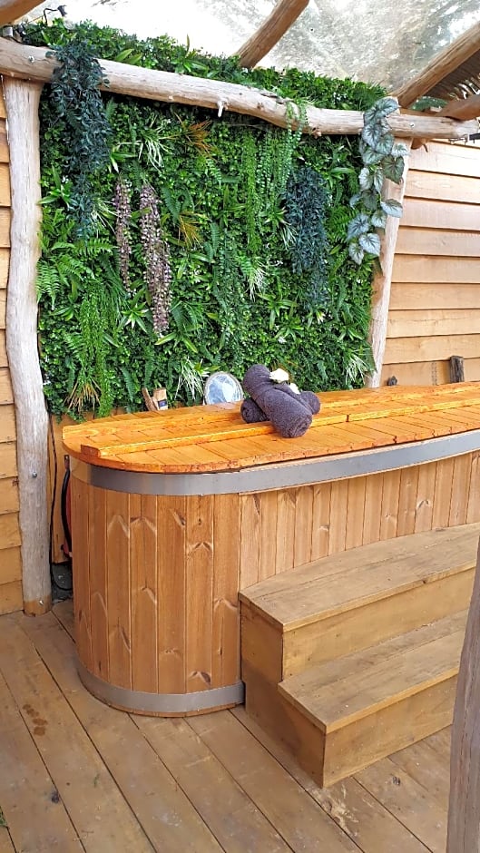 Kabanéo - gîte et sauna- Samois sur Seine - Forêt de Fontainebleau