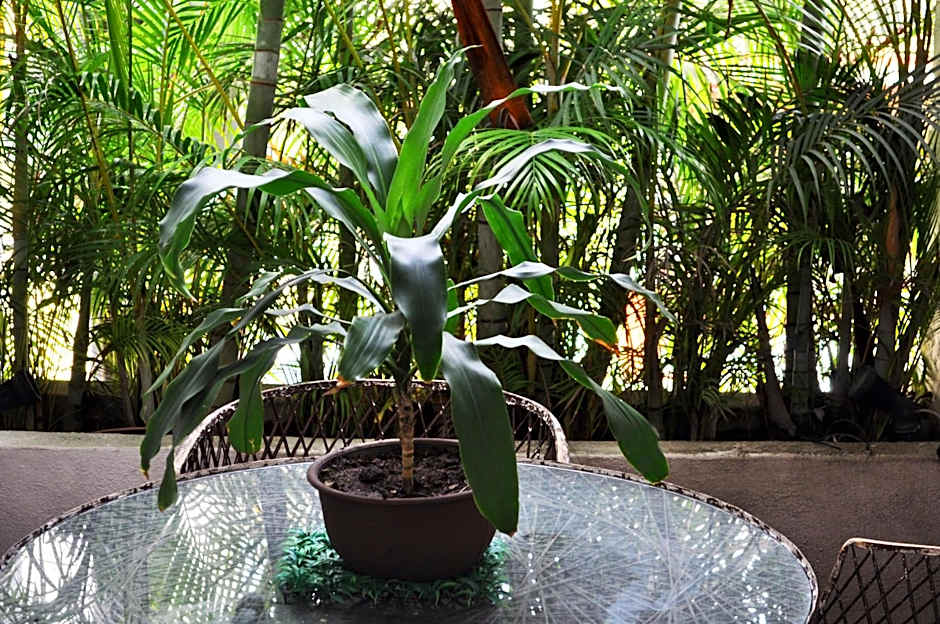 Hotel Hacienda de Vallarta Centro