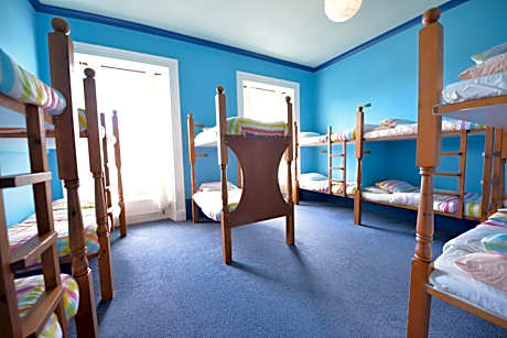Bunk Bed in Mixed Dormitory Room